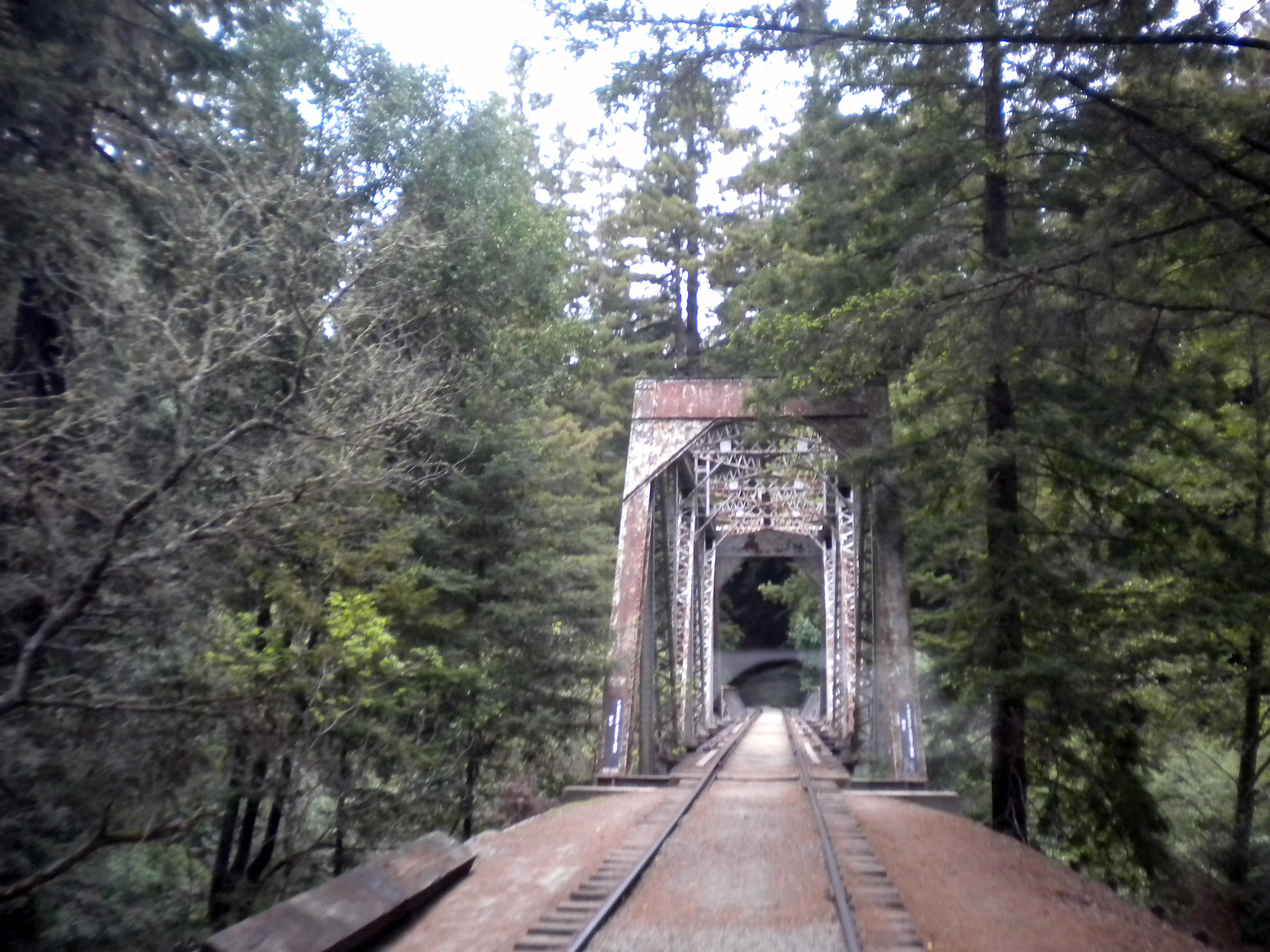 Bridge on the Santa Cruz